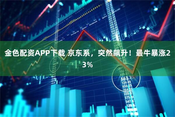 金色配资APP下载 京东系，突然飙升！最牛暴涨23%